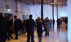 BRAFA Art Fair 2016
