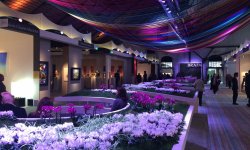 BRAFA Art Fair 2018