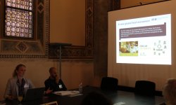 Temporary Organizing and Temporality: Stability and Change in Cultural and Creative Industries