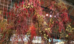 Brafa Art Fair 2020