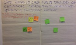 Leadership development in the cultural sector: paradigms, pedagogies and practices