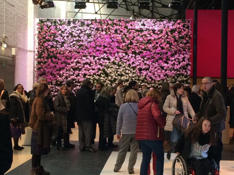 BRAFA Art Fair 2017