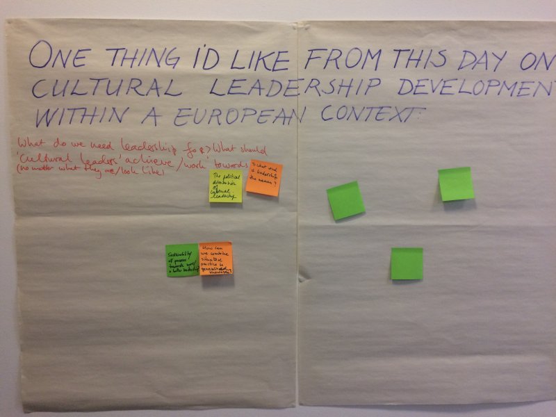 Leadership development in the cultural sector: paradigms, pedagogies and practices