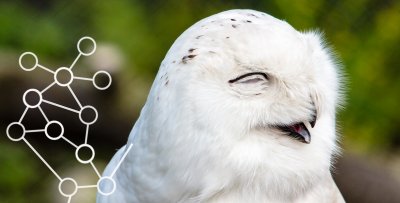 Don’t sleep through your early bird registration! 