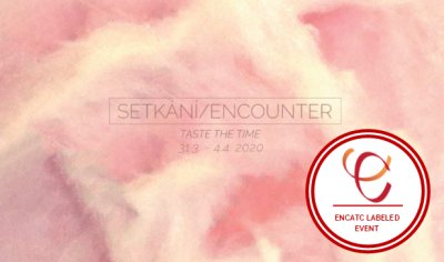 The international festival of theatre schools setkání/encounter 2020